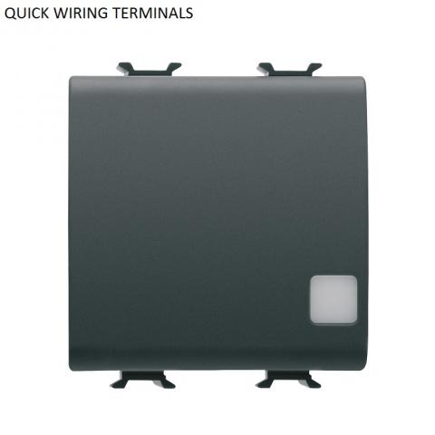ONE-WAY SWITCH illuminable 2P 16AX - quick wiring terminals