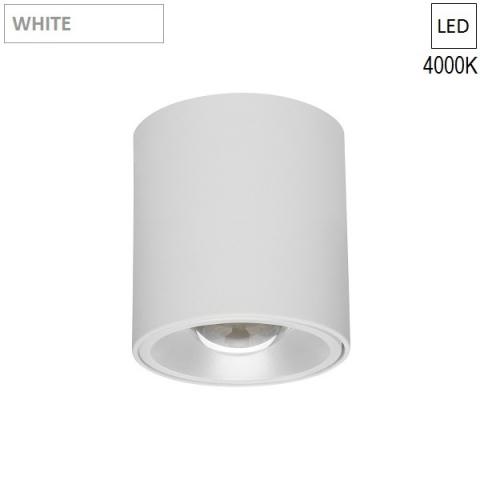 Ceiling Lamp/Spot Ø60 L250 LED 7.3W 4000K white